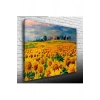 Ayçiçek Tarlası Canvas Tablo (50x70)