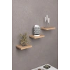 Duvar Rafı Dekoratif 3 Adet Çiçeklik Kare Ceviz