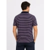 Erkek Pike Kumaş Gül Kurusu Çizgili Polo Yaka Tişört Kısa Kol T-Shirt - Siyah