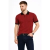 Erkek Polo Yaka Çizgili Tişört Kısa Kol Düğmeli Yazlık T-Shirt - Bordo