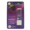 Jenbol Lip Balm Nemlendirici Dudak Bakım Kremi Böğürtlen Spf 20 5 gr