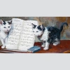 Kediler ve Nota Defteri Kanvas Tablo 60 x 120