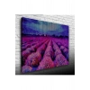 Mor Çiçek Tarlası Canvas Tablo (50x70)