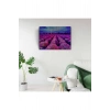 Mor Çiçek Tarlası Canvas Tablo (50x70)