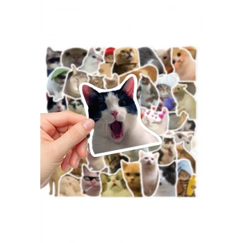Çılgın Kediler Macbook Notebook Tablet Telefon Ajanda Laptop Defter Sticker Seti