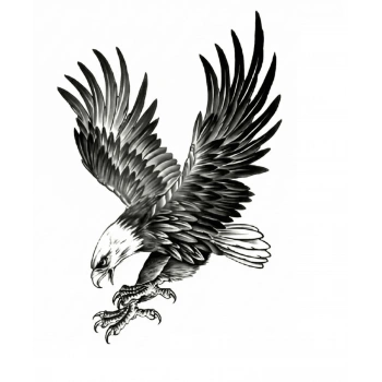 Kartal Geçici Dövme Şablonu Büyük Boy