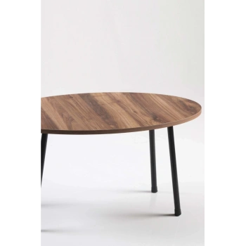 Orta Sehpa Metal  Ayak Elips Ceviz