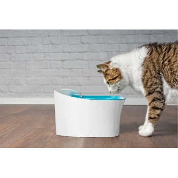 Otomatik Uyarılı Kedi Köpek Su Kabı