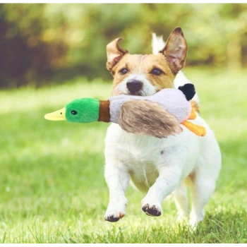 Sesli Ördek Şekilli Peluş Köpek Oyuncağı