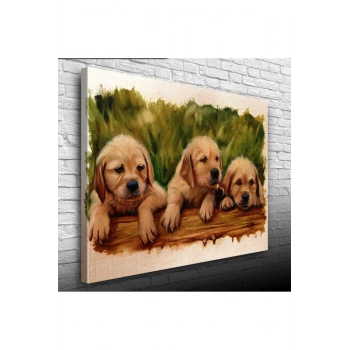Yavru Köpekler Canvas Tablo (50x70)