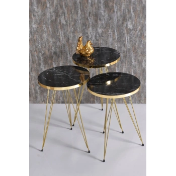 Zigon Sehpa Gold Bendir Tel