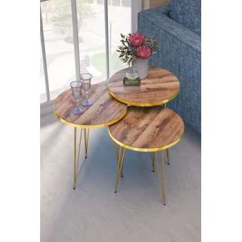 Zigon Sehpa Gold Ceviz Tel