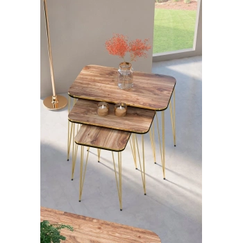 Zigon Sehpa Kare Çift Gold Ceviz Tel 1031