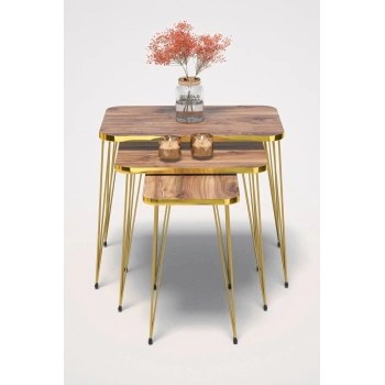 Zigon Sehpa Kr Gold Ceviz Tel