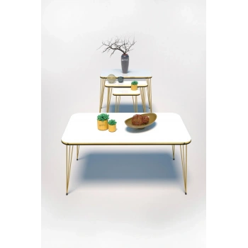 Zigon Sehpa Kr Ve Orta Sehpa Kr Set Çift Gold Beyaz Tel 1111