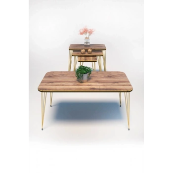 Zigon Sehpa Kr Ve Orta Sehpa Kr Set Çift Gold Ceviz Tel 1110