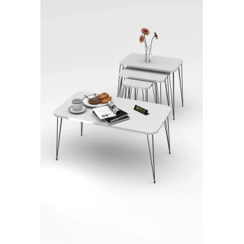 Zigon Sehpa Kr Ve Orta Sehpa Kr Set Gümüş Beyaz Tel Ayak Siyah