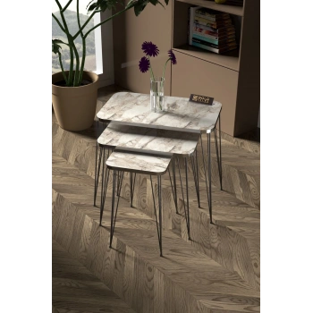 Zigon Sehpa Kr Ve Orta Sehpa Kr Set Gümüş Efes Tel Ayak Siyah