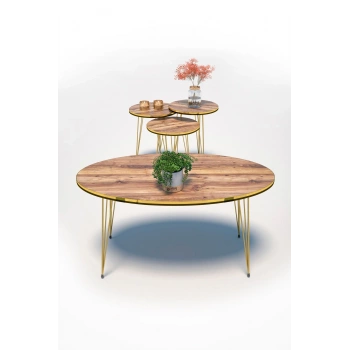 Zigon Sehpa Ve Orta Sehpa Elips Set Çift Gold Ceviz Tel