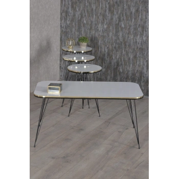 Zigon Sehpa Ve Orta Sehpa Kr Set Siyah Tel Ayak Çift Altın Beyaz