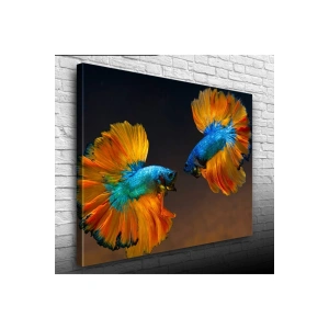 Beta Balıkları Canvas Tablo (50x70)