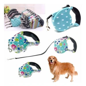 Desenli Köpek Tasması - Pup Style