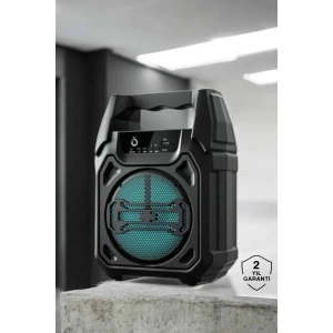 Kablosuz 6.5 İnç TWS Bluetooth Hoparlör
