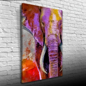 Pastel Renklerde Dekoratif Fil Görseli Kanvas Tablo 50 x 70