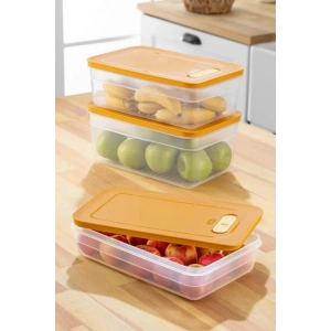 Tupper Model - Vakumlu - Mikrodalga Buzluk Saklama Kabı 3,8LT