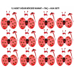 Uğur Böceği Kostüm Seti - Kanat, Taç, Asa 12 Adet