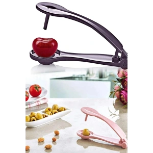 Zeytin Çekirdeği Çıkartma Aparatı