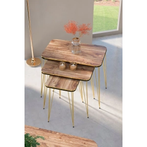 Zigon Sehpa Kare Çift Gold Ceviz Tel 1031