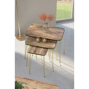 Zigon Sehpa Kr Çift Gold Ceviz Tel  1029