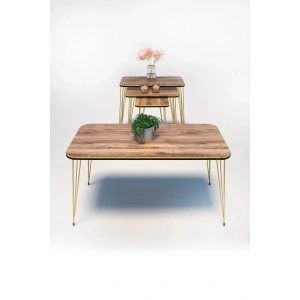 Zigon Sehpa Kr Ve Orta Sehpa Kr Set Çift Gold Ceviz Tel 1110