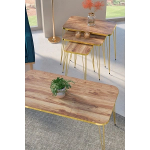 Zigon Sehpa Kr Ve Orta Sehpa Kr Set Gold Ceviz Tel 1108