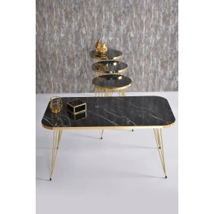 Zigon Sehpa Ve Orta Sehpa Kr Set Gold Bendir Tel