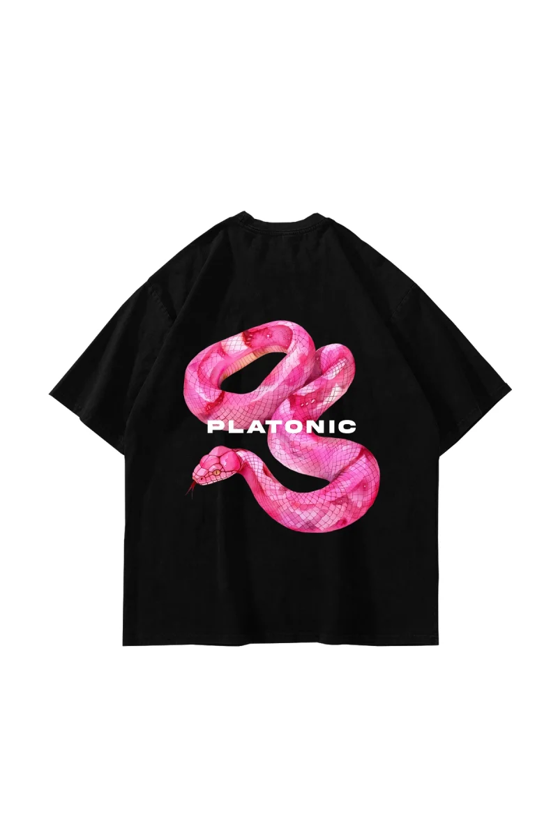 Platonic Baskılı Oversize Unisex Siyah Tshirt