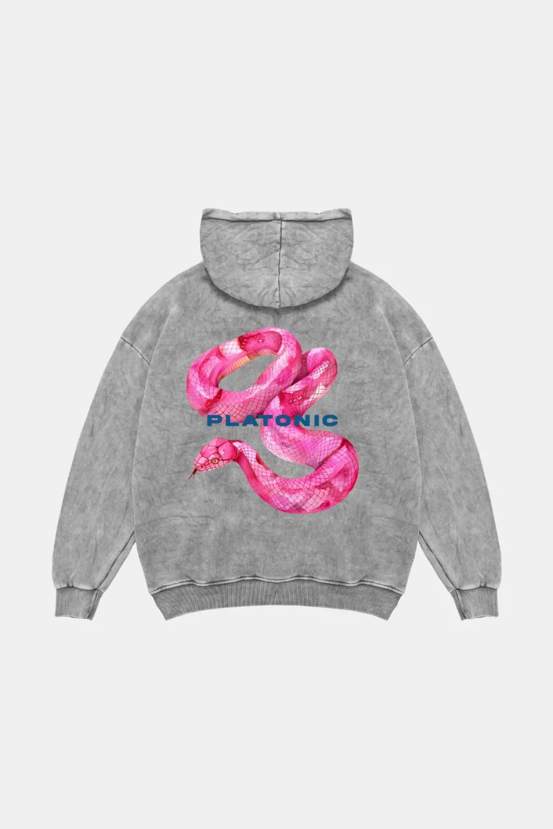 Platonic Baskılı Oversize Unisex Yıkamalı Beyaz Hoodie