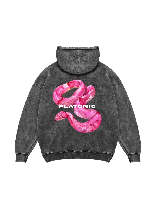 Platonic Baskılı Oversize Unisex Yıkamalı Siyah Hoodie