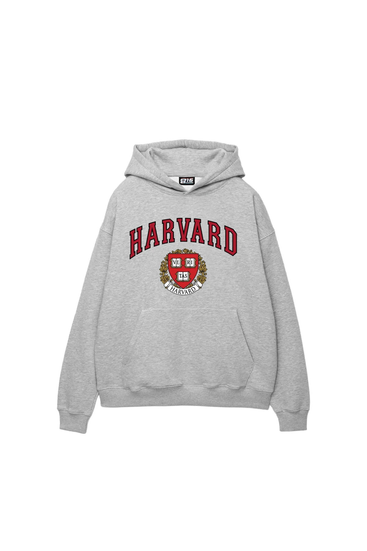 Harvard Baskılı Oversize Unisex Gri Hoodie