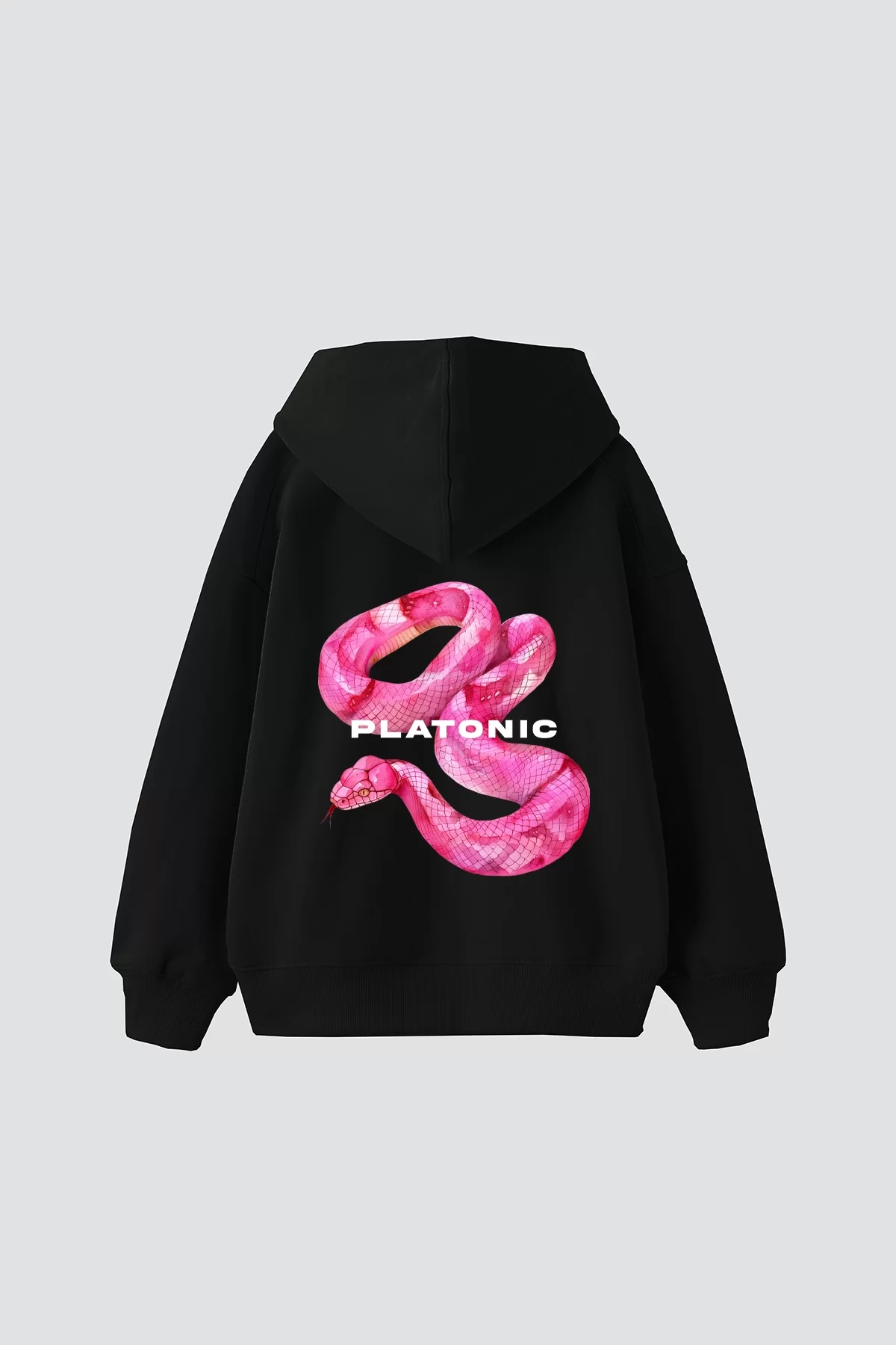 Platonic Baskılı Oversize Unisex Premium Siyah Hoodie