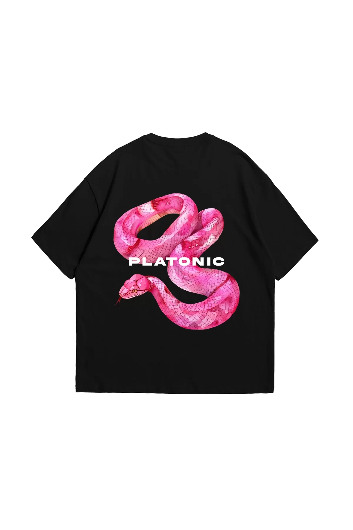 Platonic Baskılı Oversize Unisex Siyah Tshirt