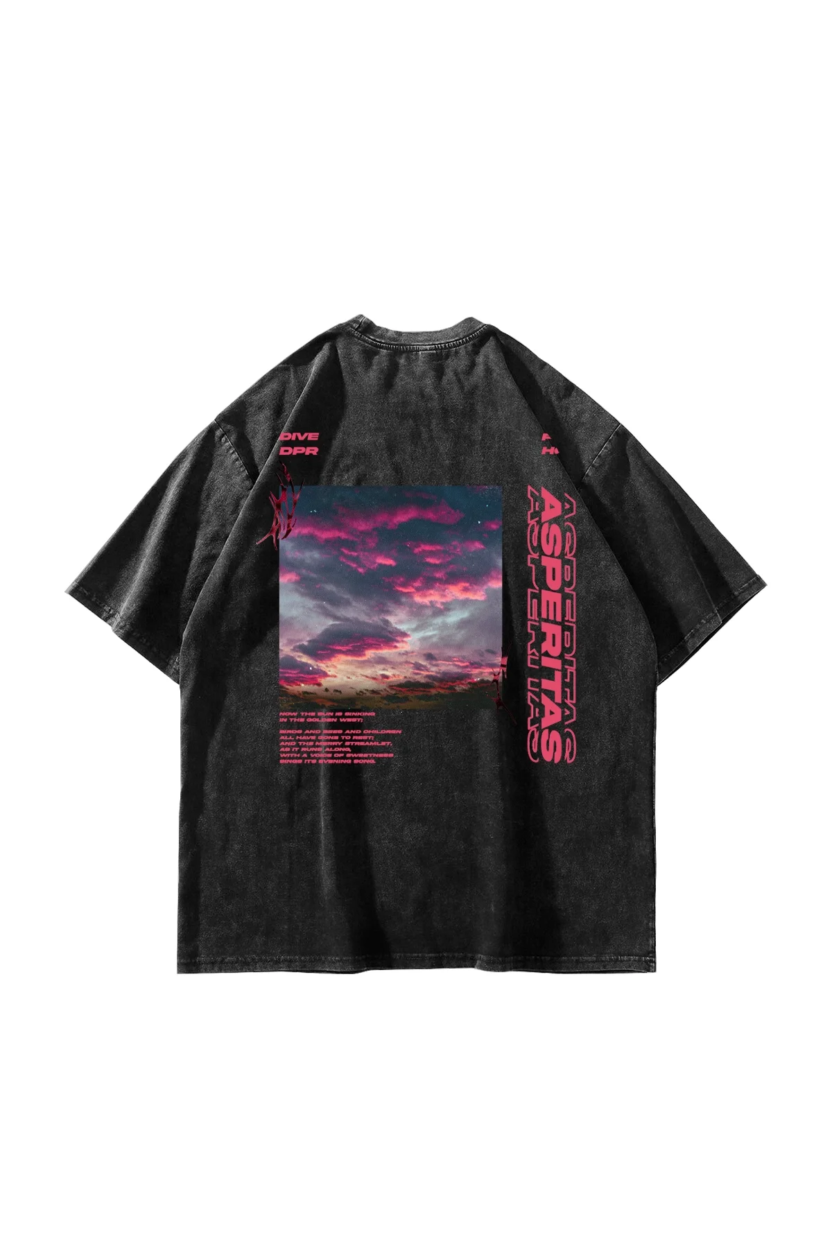 Yıkamalı Asperitas Sırt Baskılı Siyah Oversize Unisex Tshirt