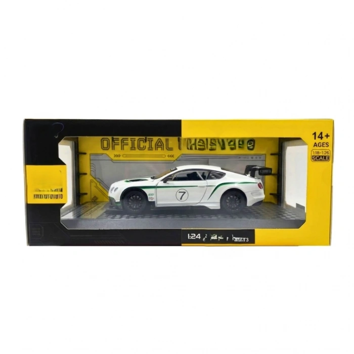 1/24 GT3 Model Araba