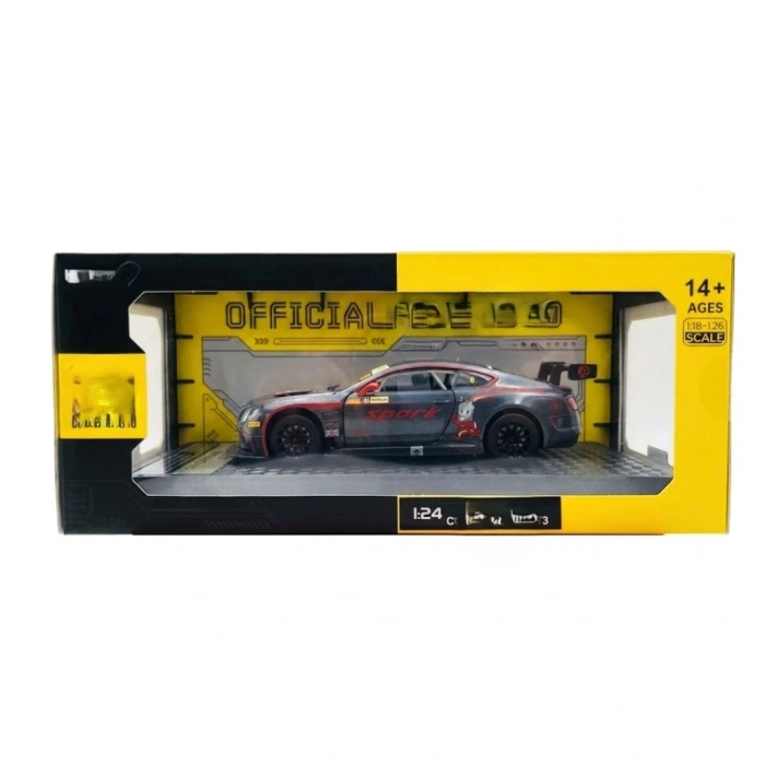 1/24 GT3 Silver Grey Model Araba