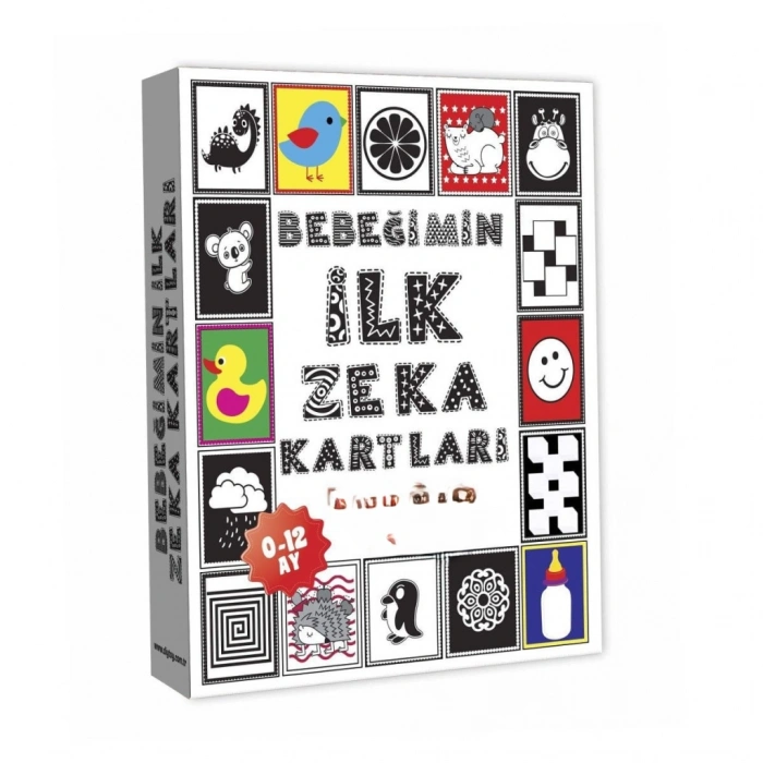 1369 BEBEĞİMİN İLK ZEKA KARTLARI