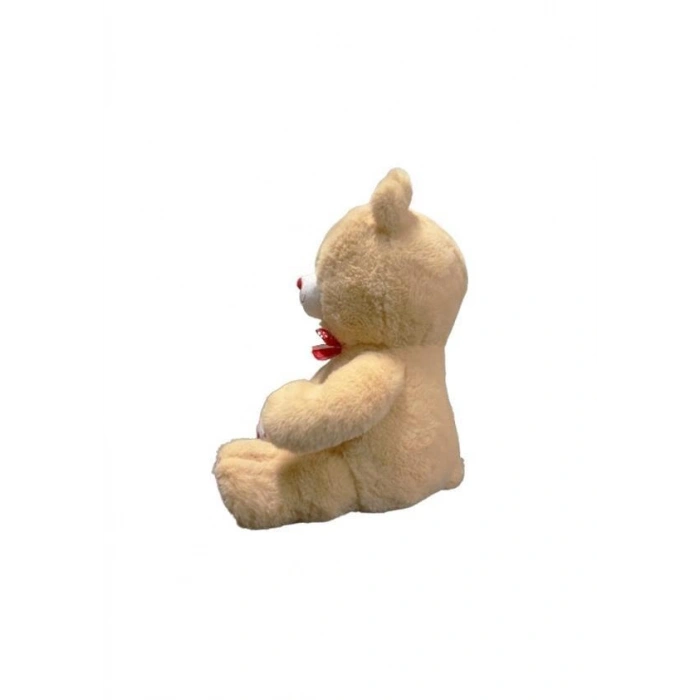 35 CM PATİLEN KALPLİ AYI