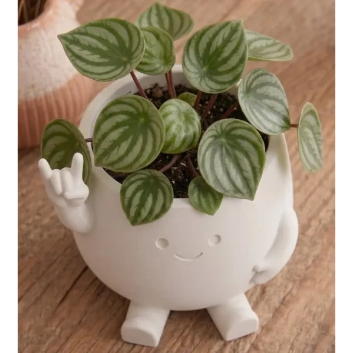 3D Baskı Smiley Face Planter - Gülümseyen Karakterli Saksı-Beyaz