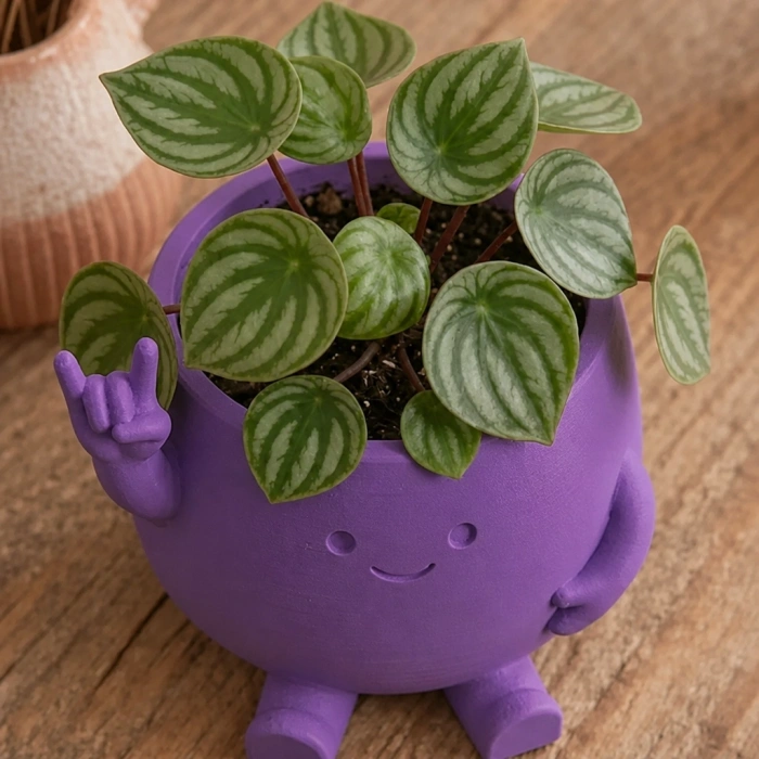 3D Baskı Smiley Face Planter - Gülümseyen Karakterli Saksı-Mor