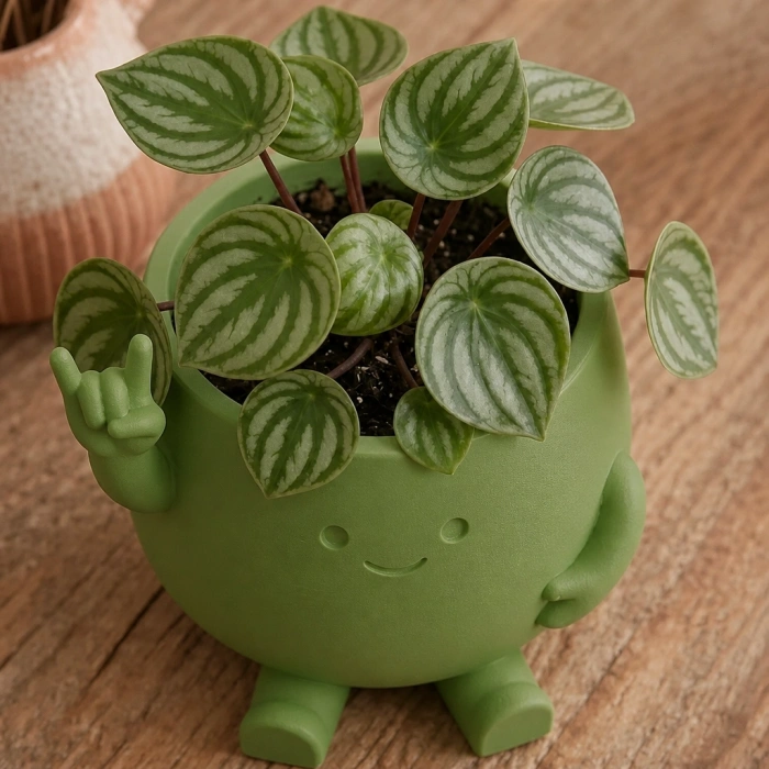 3D Baskı Smiley Face Planter - Gülümseyen Karakterli Saksı-Yeşil